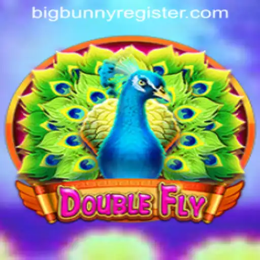Explore the World of DoubleFly: An Exciting Journey Awaits